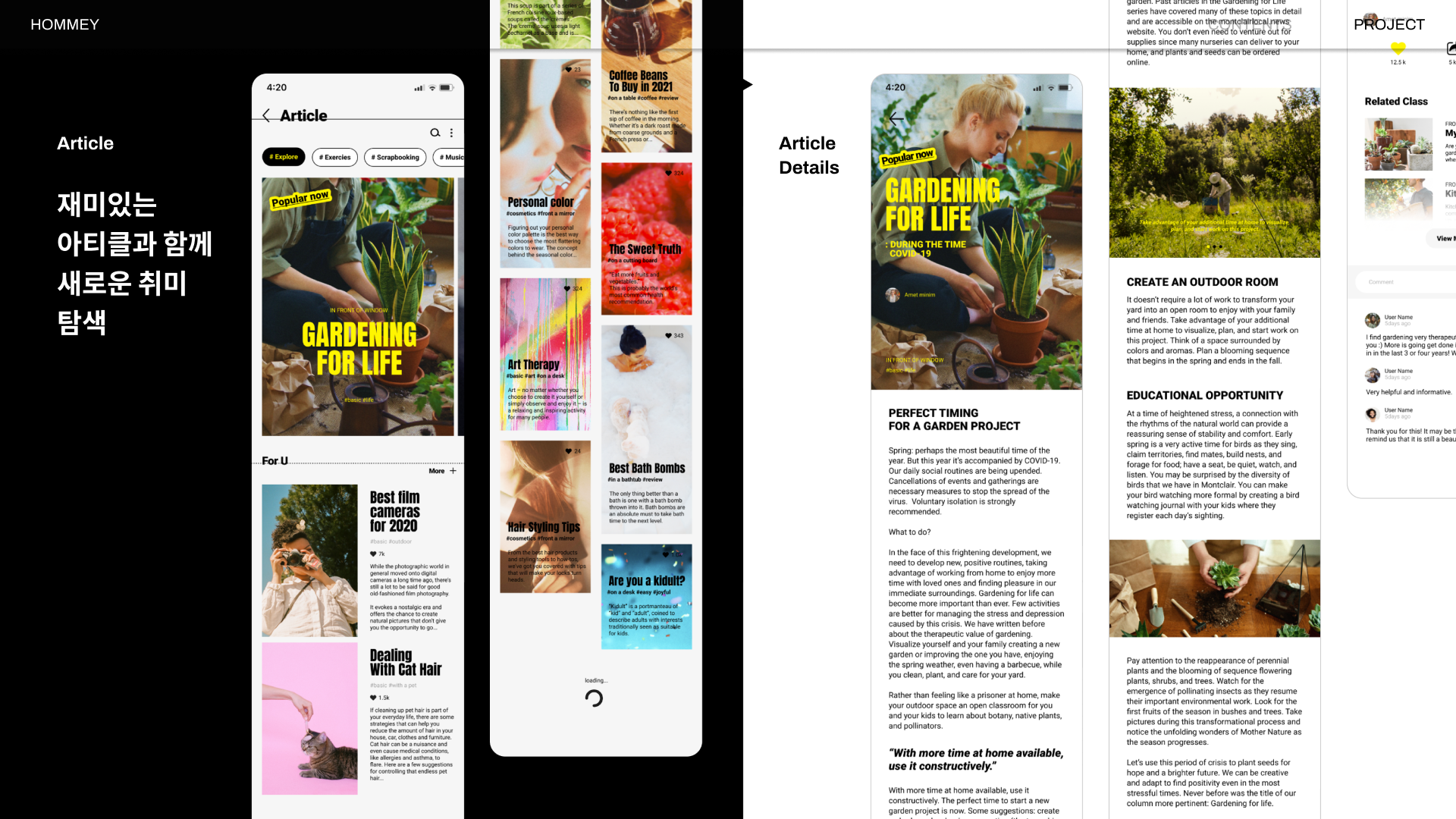 portfolio