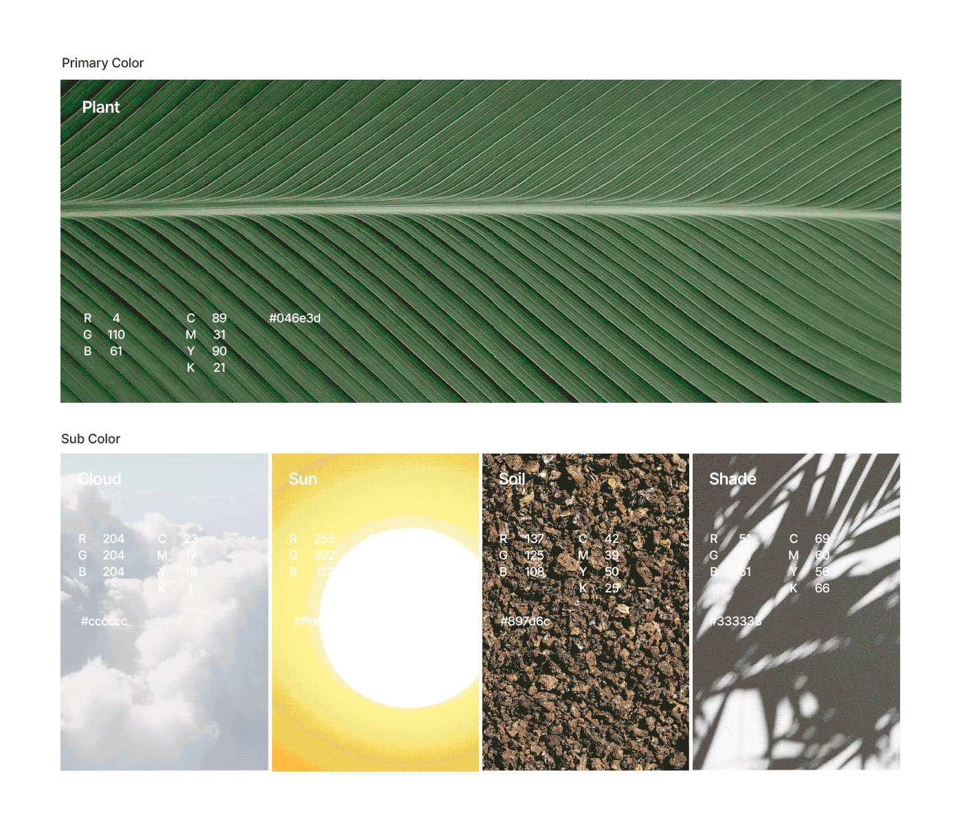 portfolio