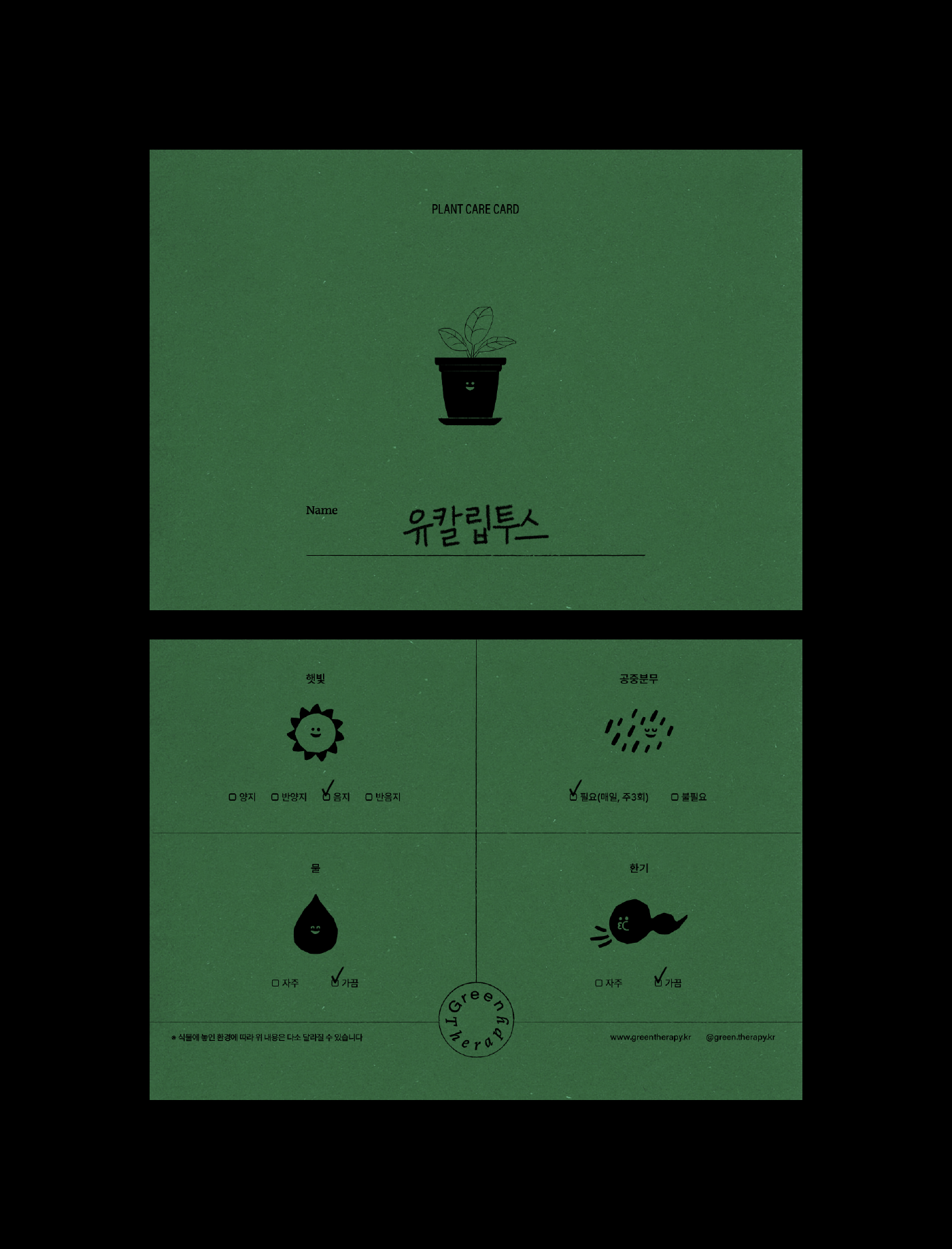 portfolio