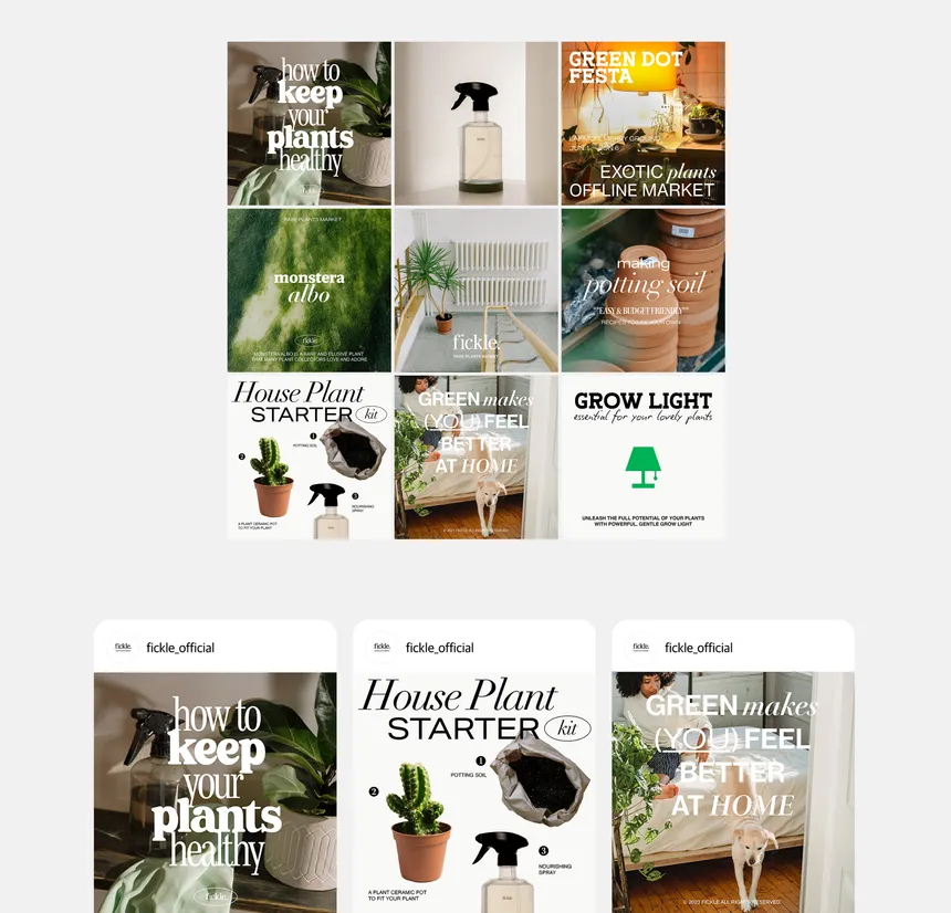 portfolio
