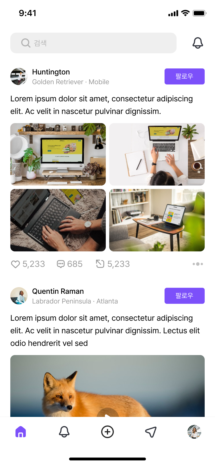portfolio