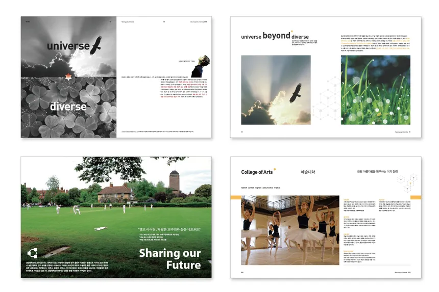 portfolio