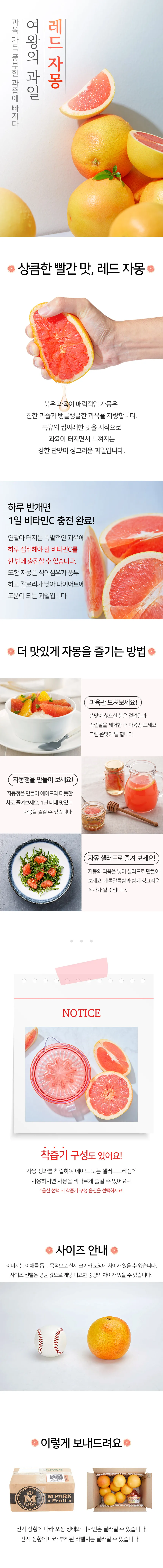 레드 자몽 상품 상세페이지 디자인
