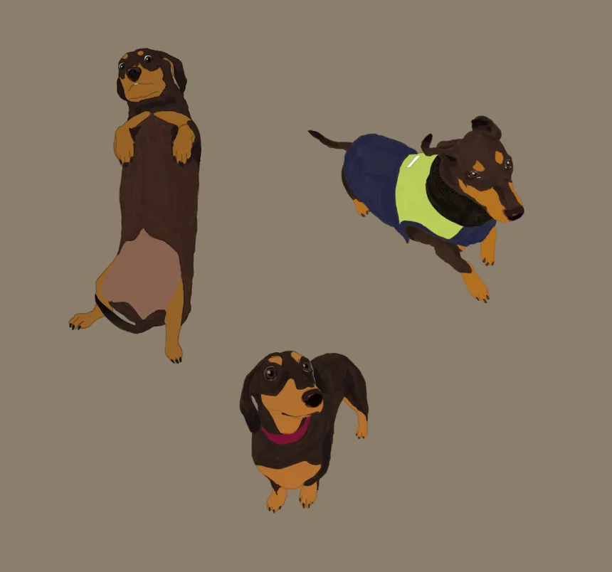 portfolio