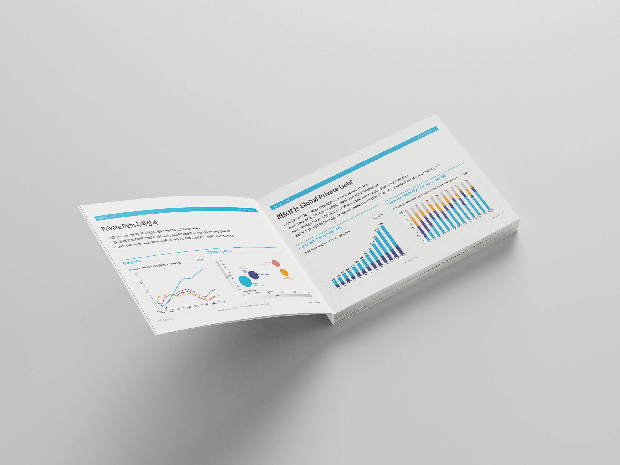portfolio