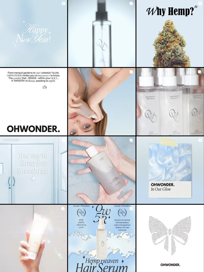 portfolio