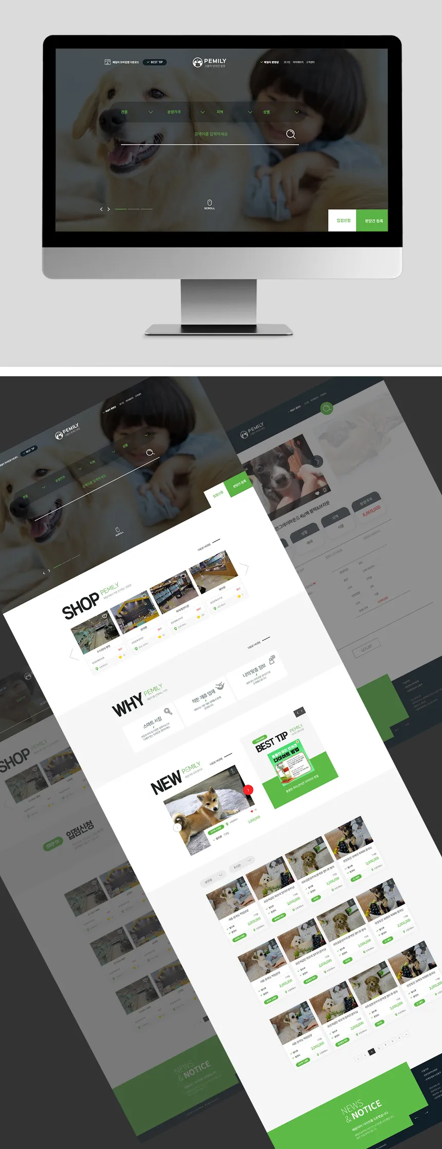 portfolio