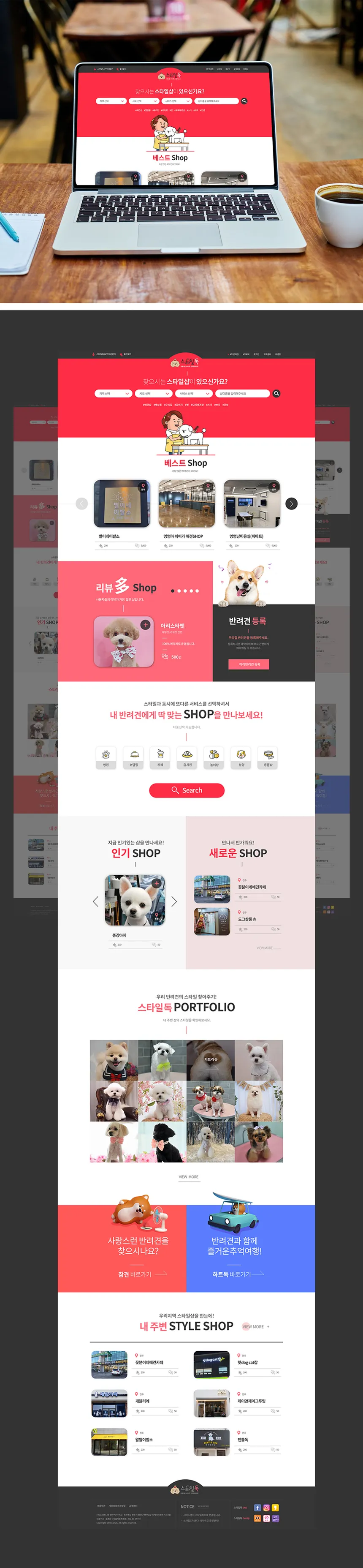 portfolio