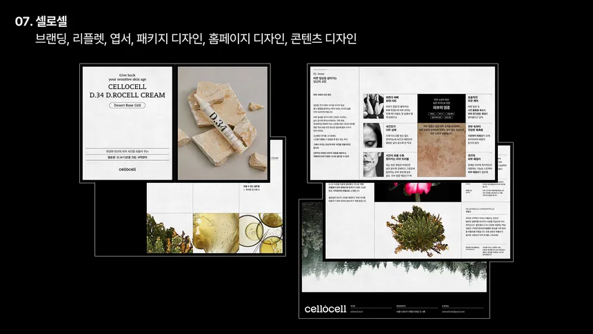 portfolio