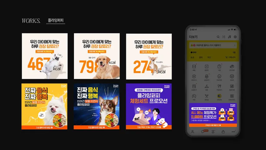 플라잉퍼피 광고 소재 디자인