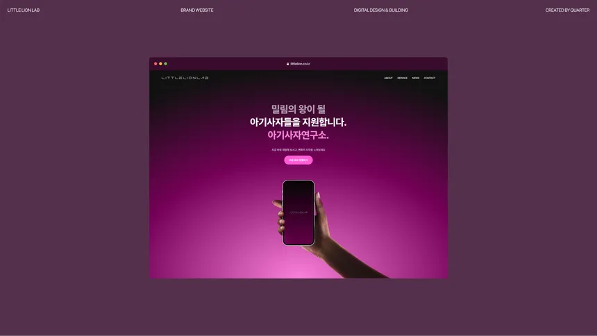 portfolio