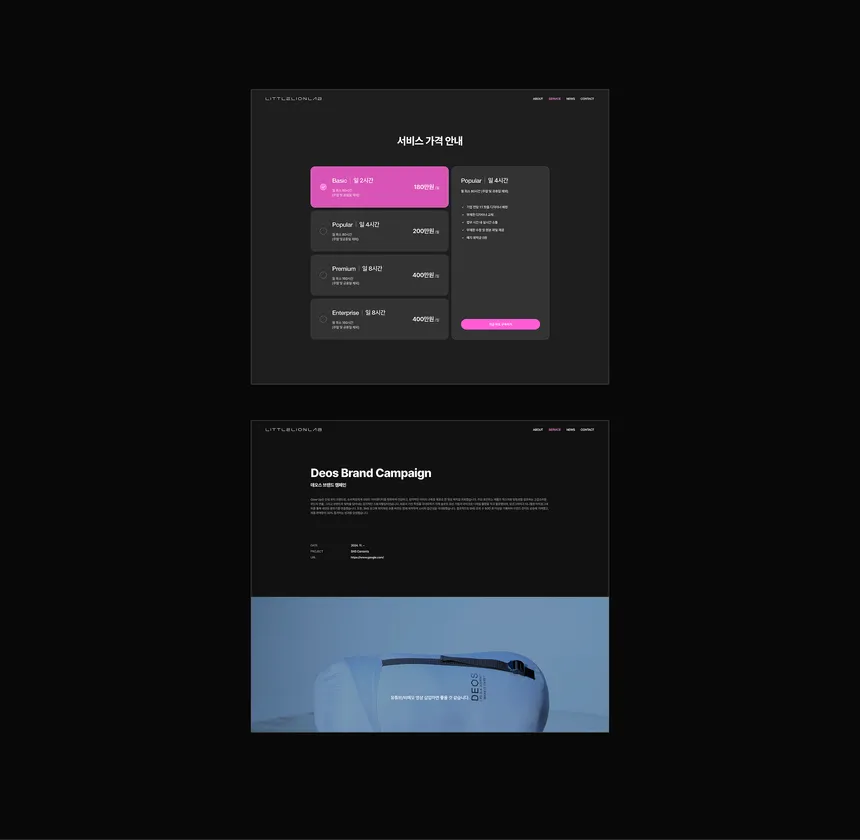 portfolio