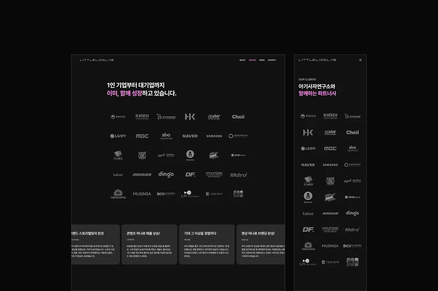 portfolio