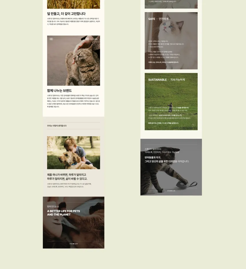 portfolio