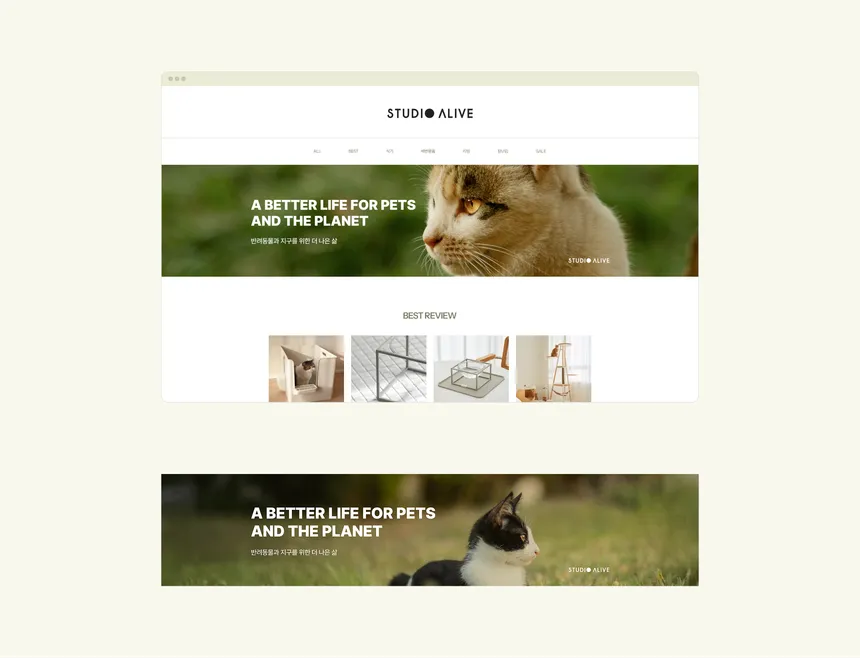 portfolio