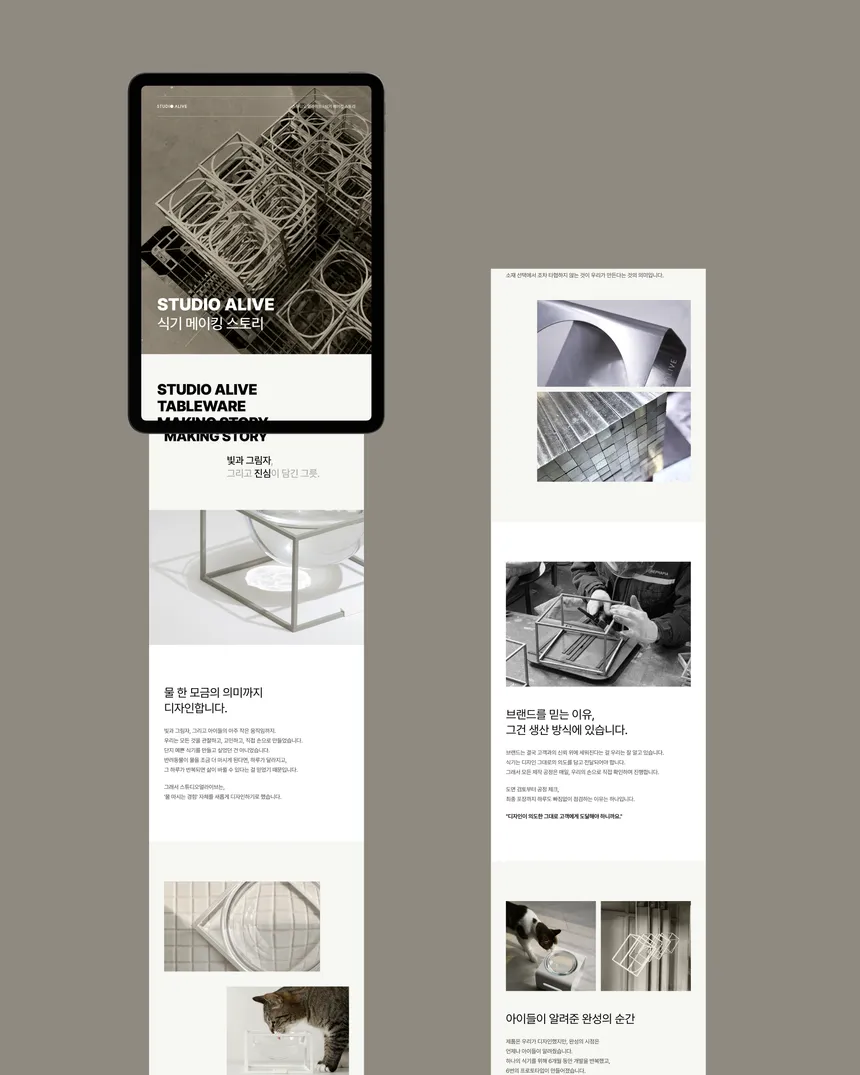 portfolio