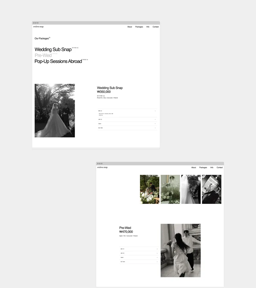 portfolio