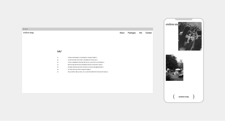 portfolio