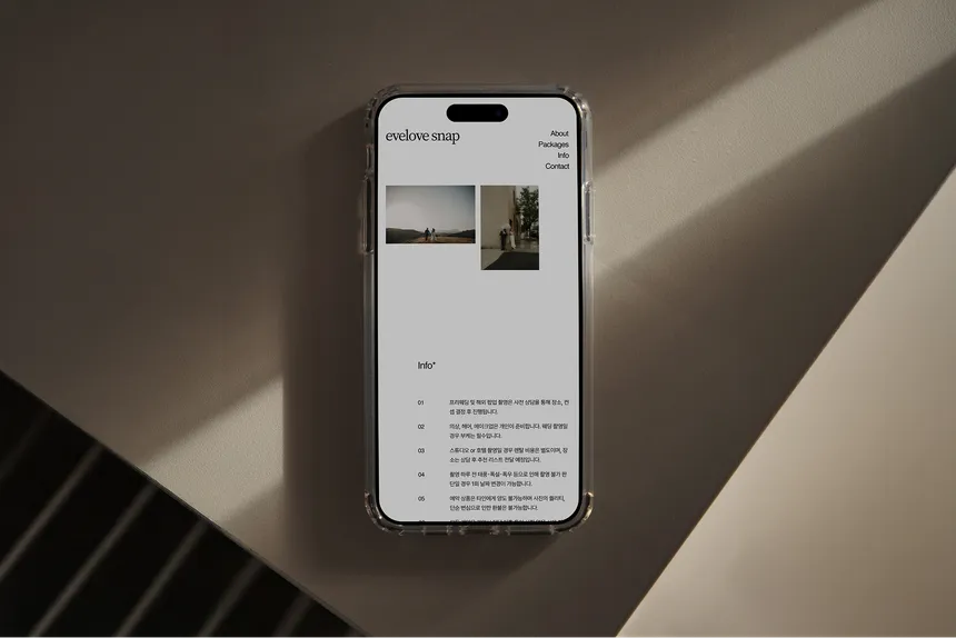 portfolio