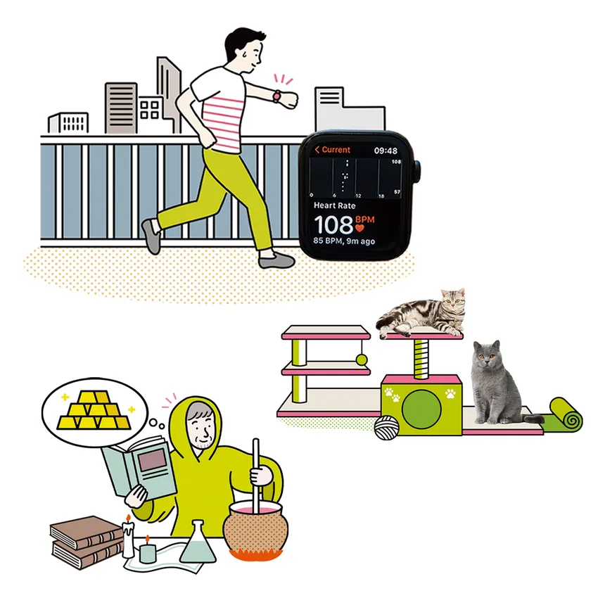 portfolio