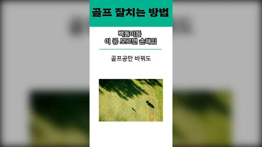 초보 골퍼를 위한 가성비 골프공 추천 숏폼 영상