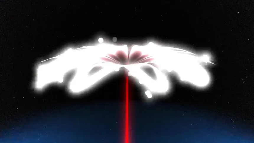 Flower_Motion graphic design