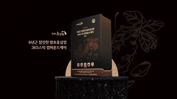 고려홍삼정 6년근 참진한 발효홍삼정 365 스틱 컴파운드케이스 패키지 디자인