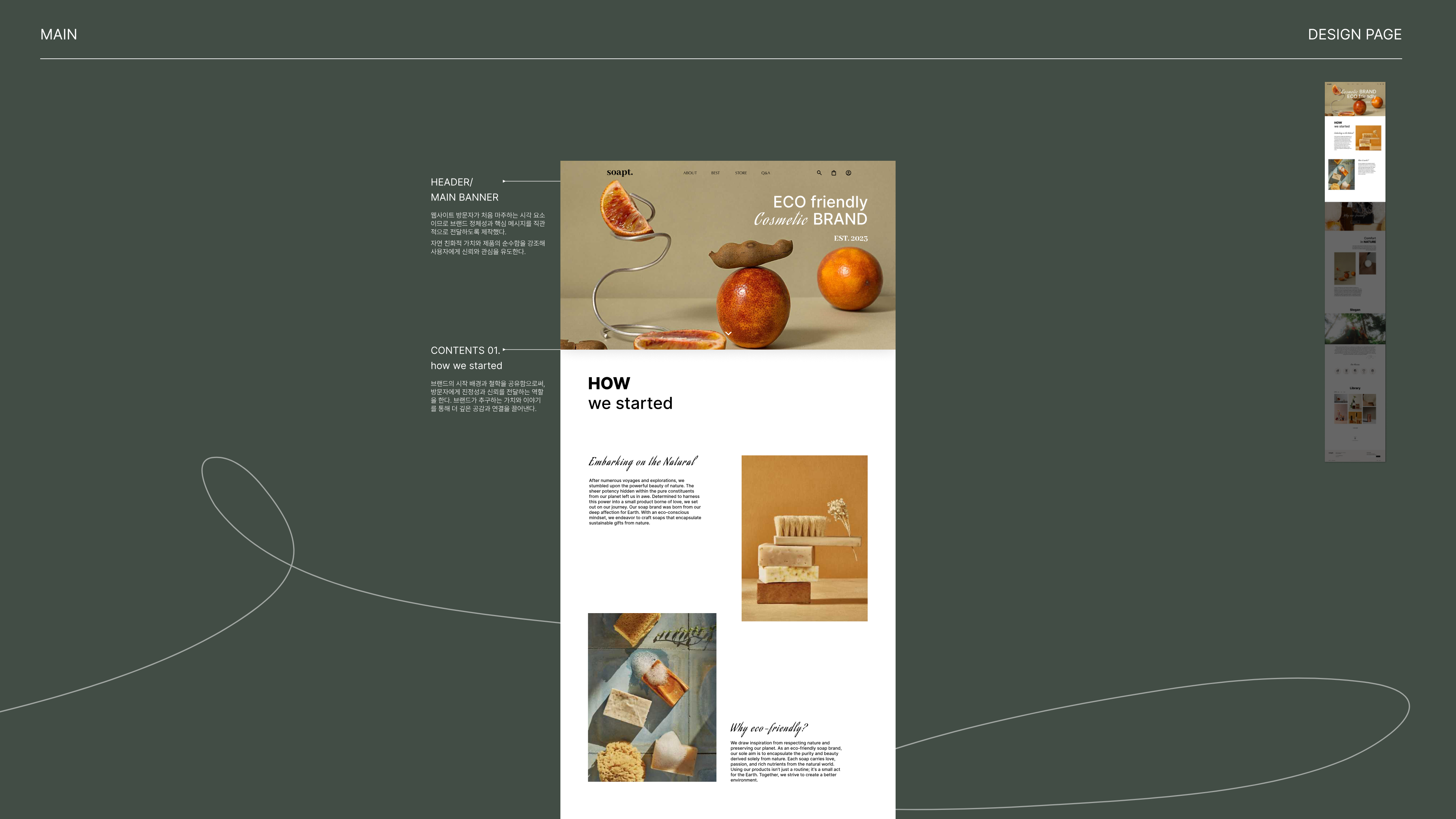 portfolio