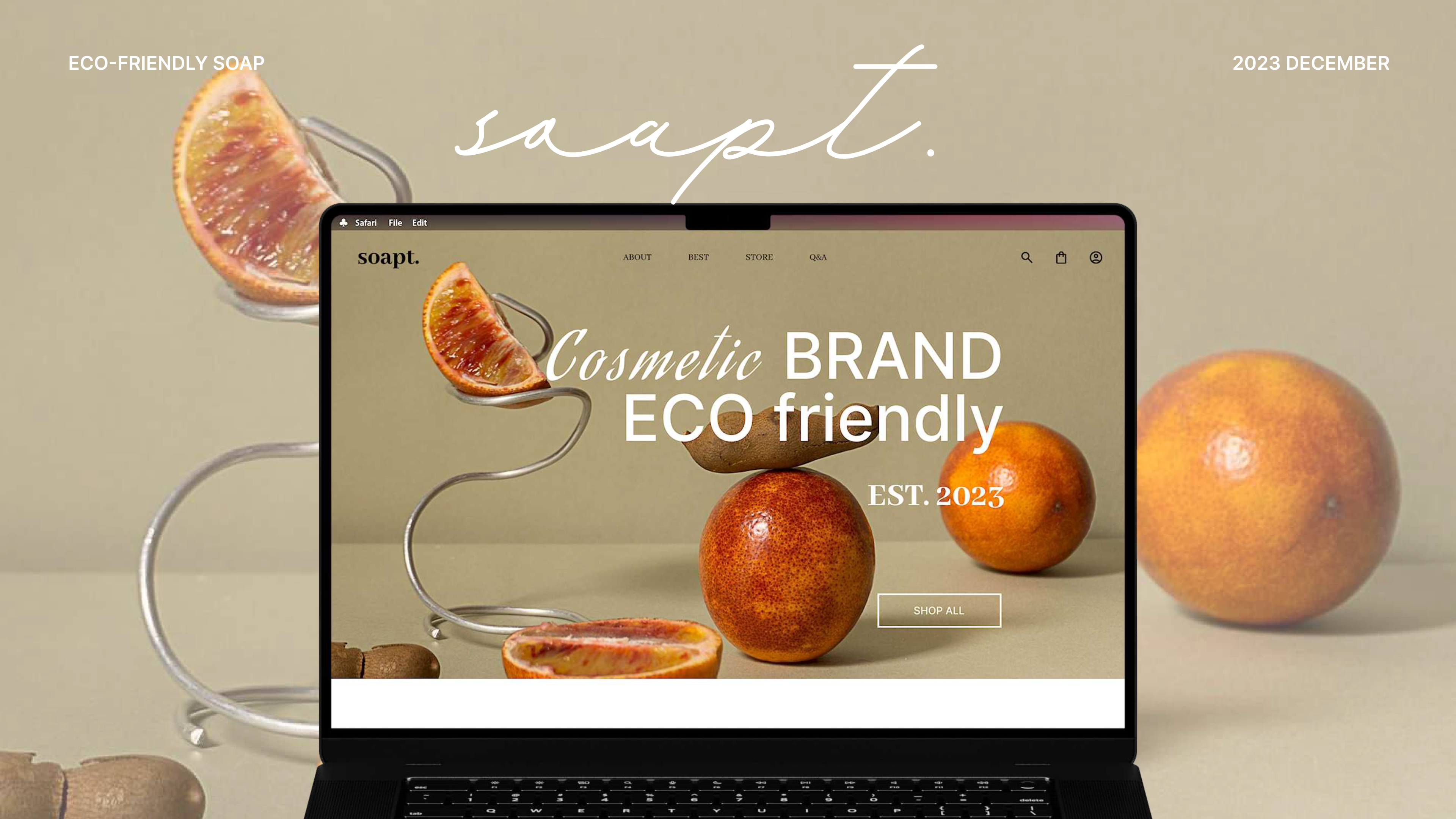 portfolio