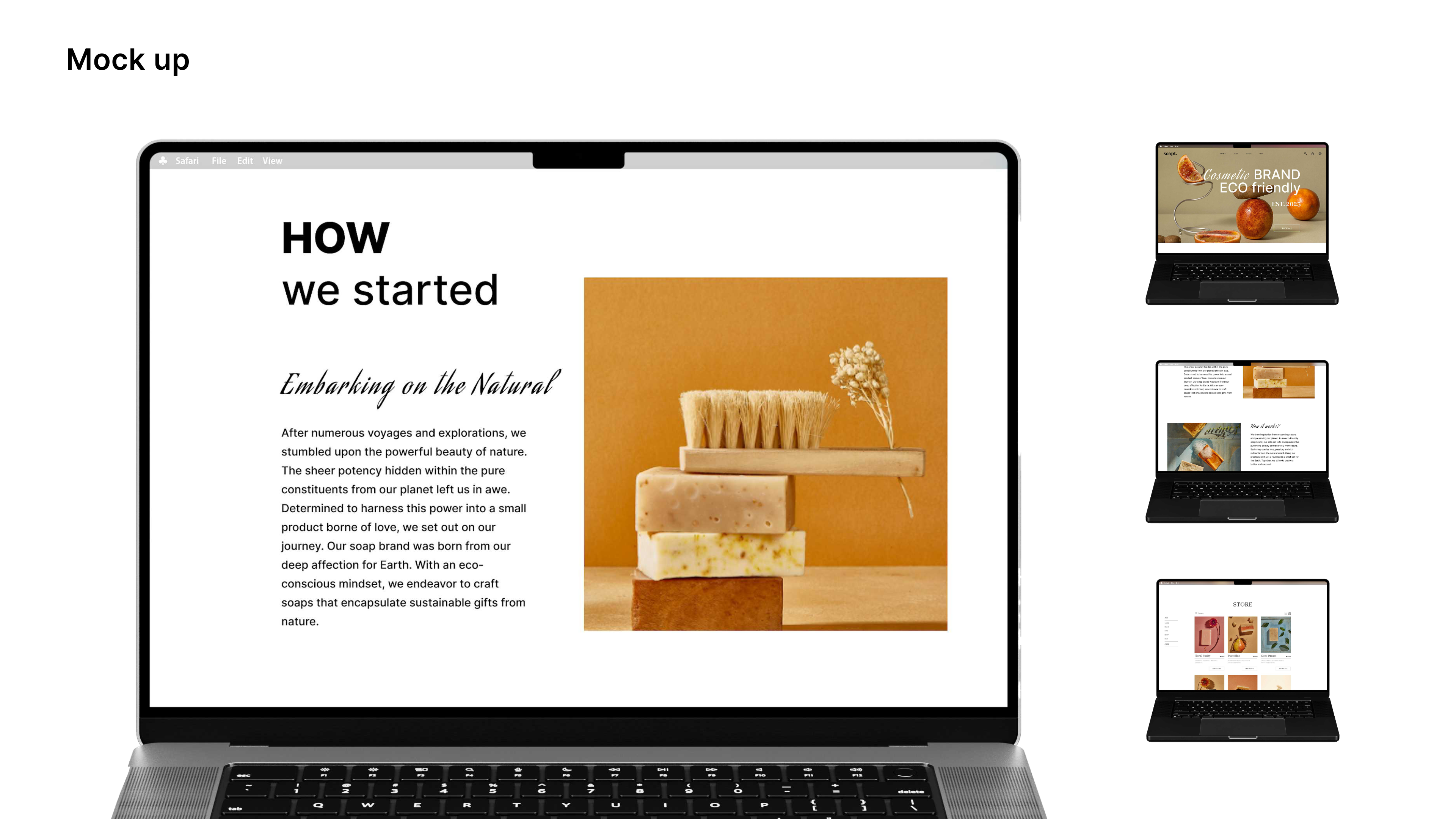 portfolio
