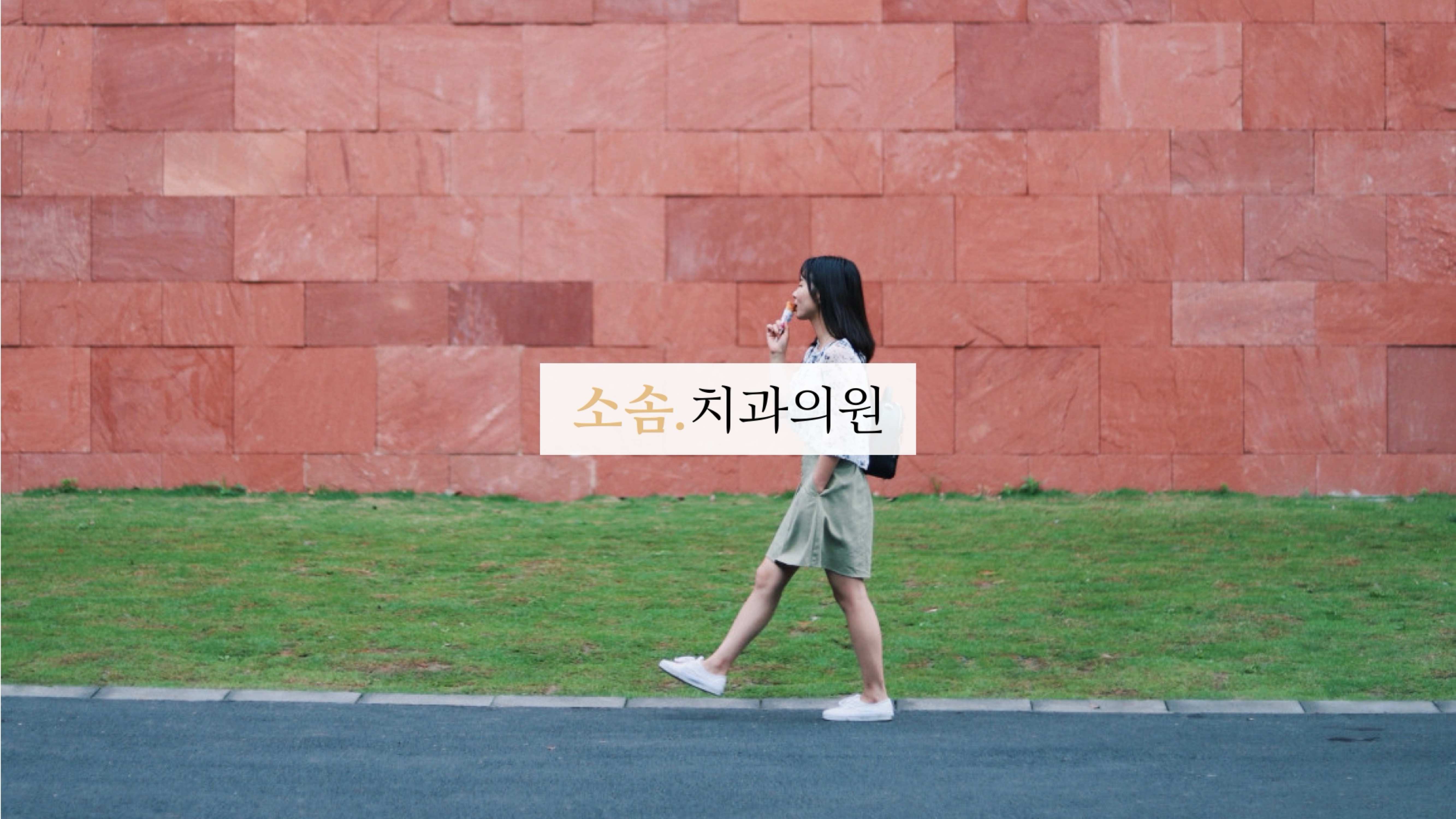 소솜 치과의원 브랜드 아이덴티티 디자인