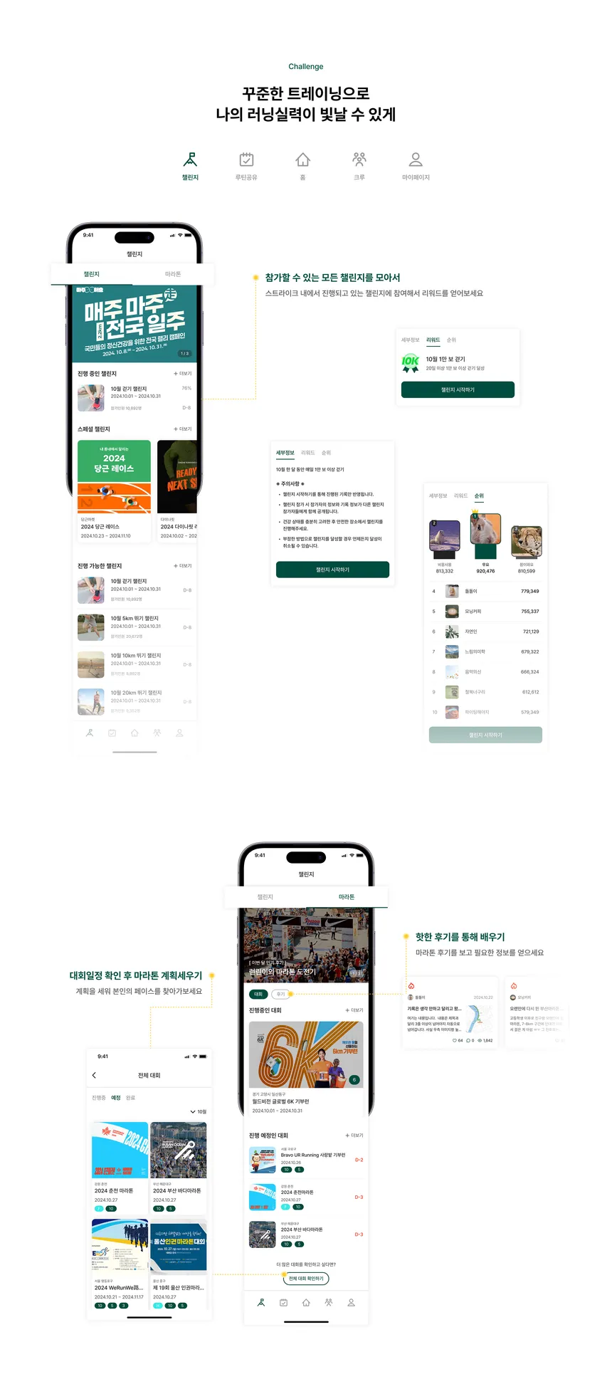 portfolio