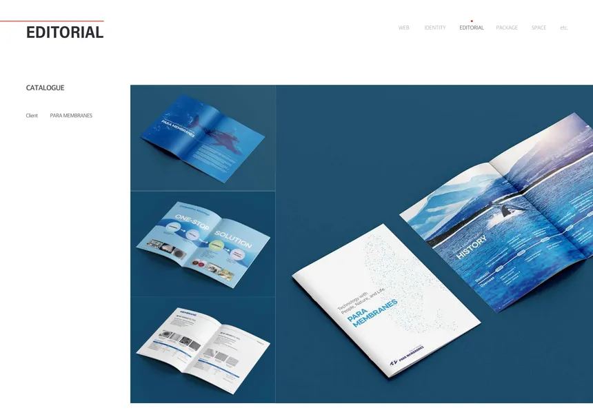 portfolio