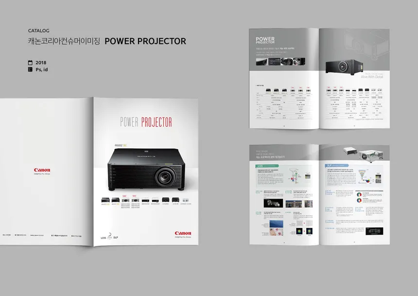 portfolio