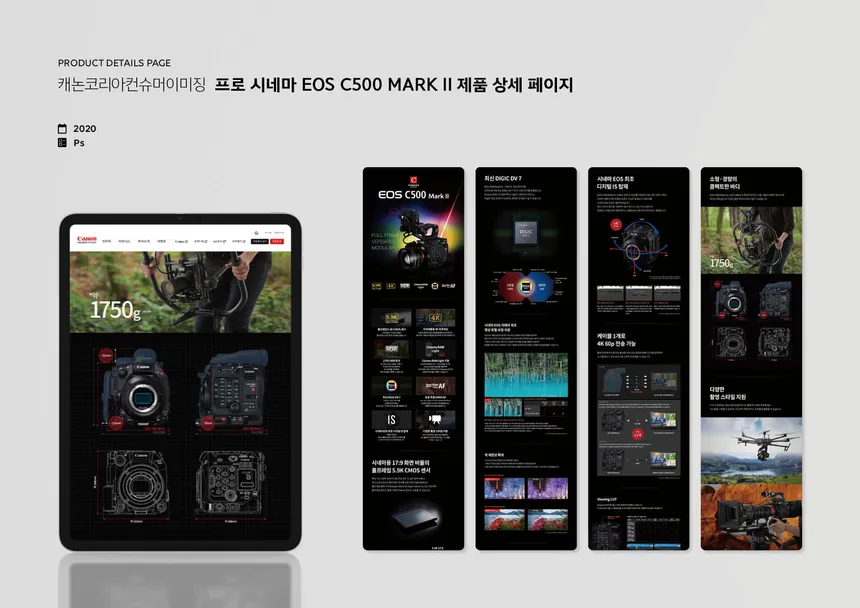 portfolio