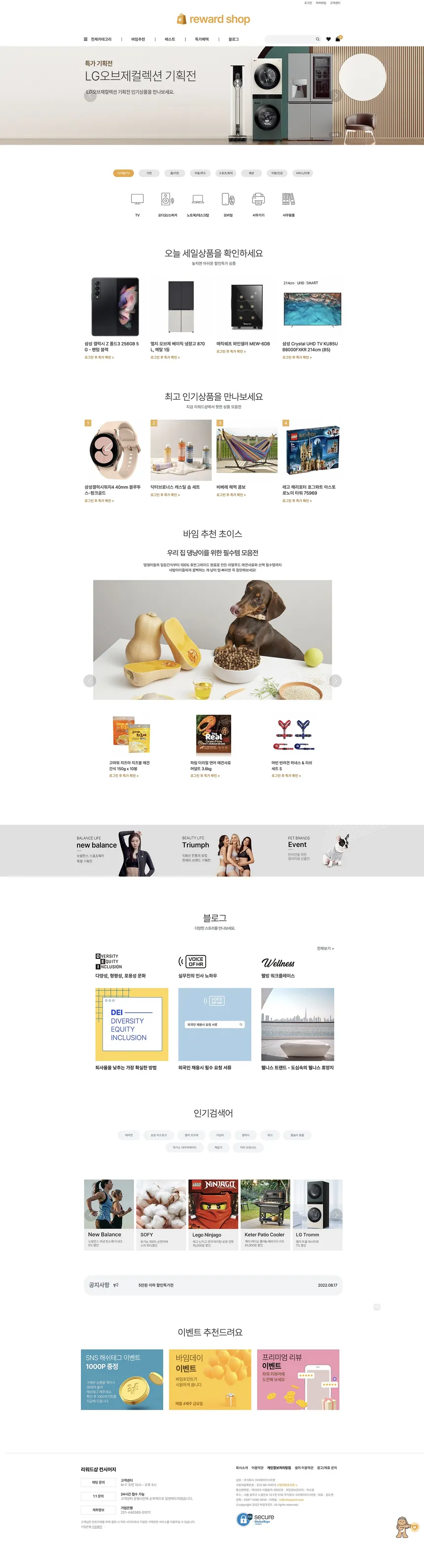 portfolio