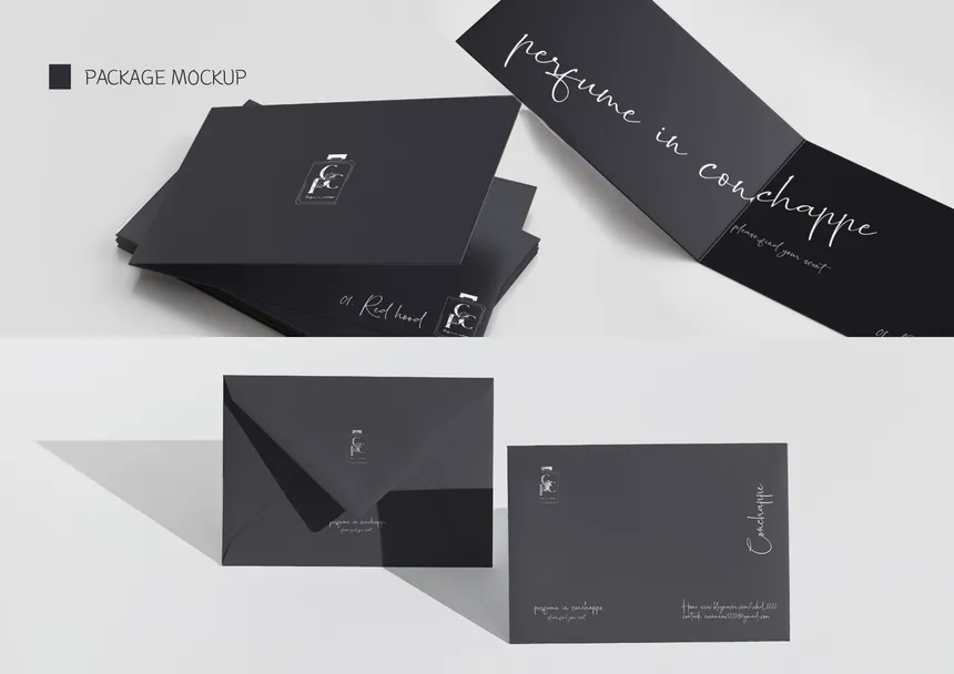 portfolio