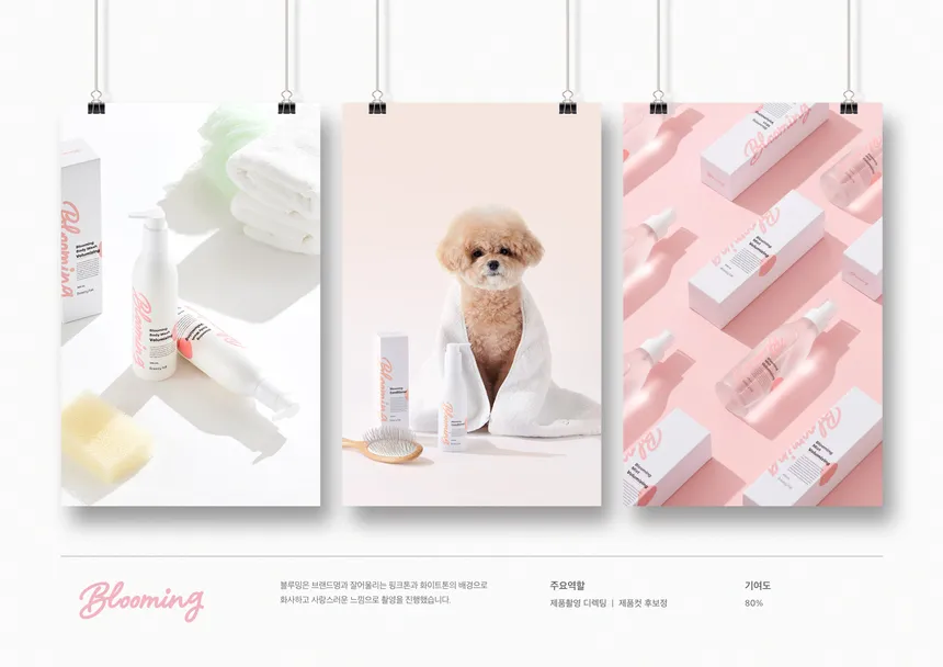 portfolio