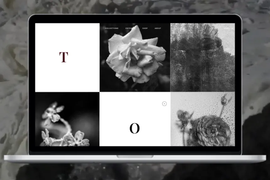 portfolio