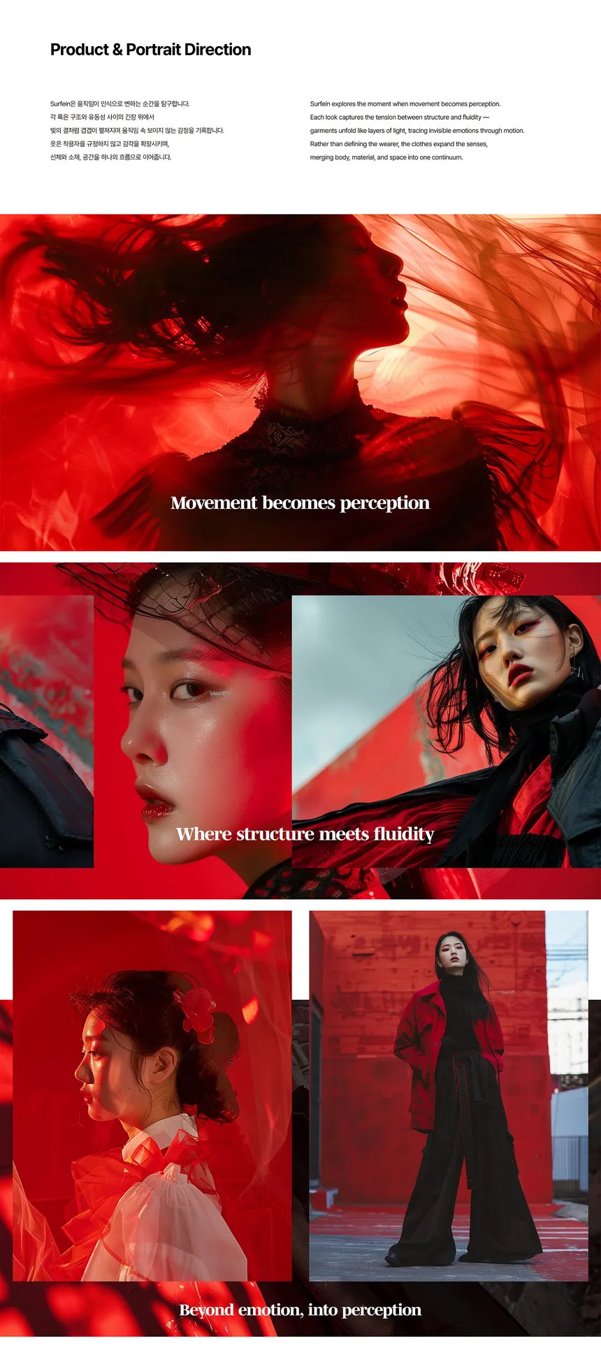 portfolio