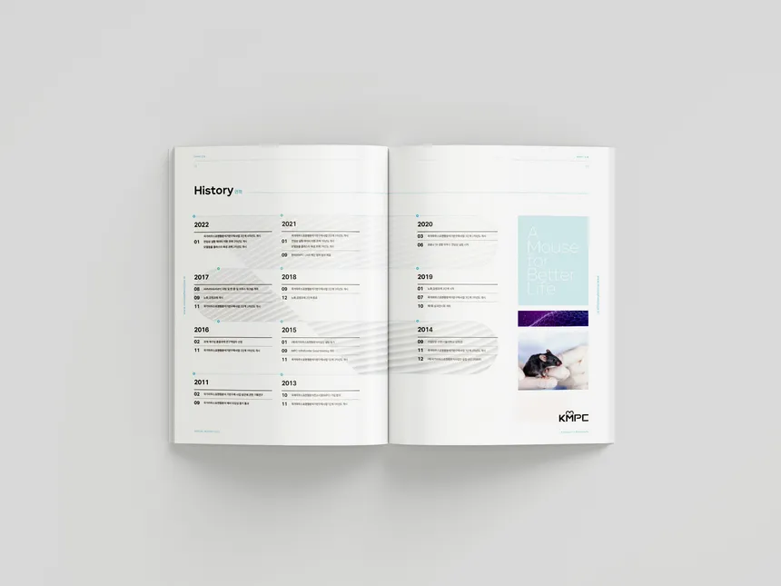 portfolio