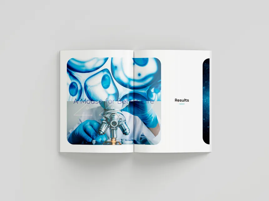 portfolio