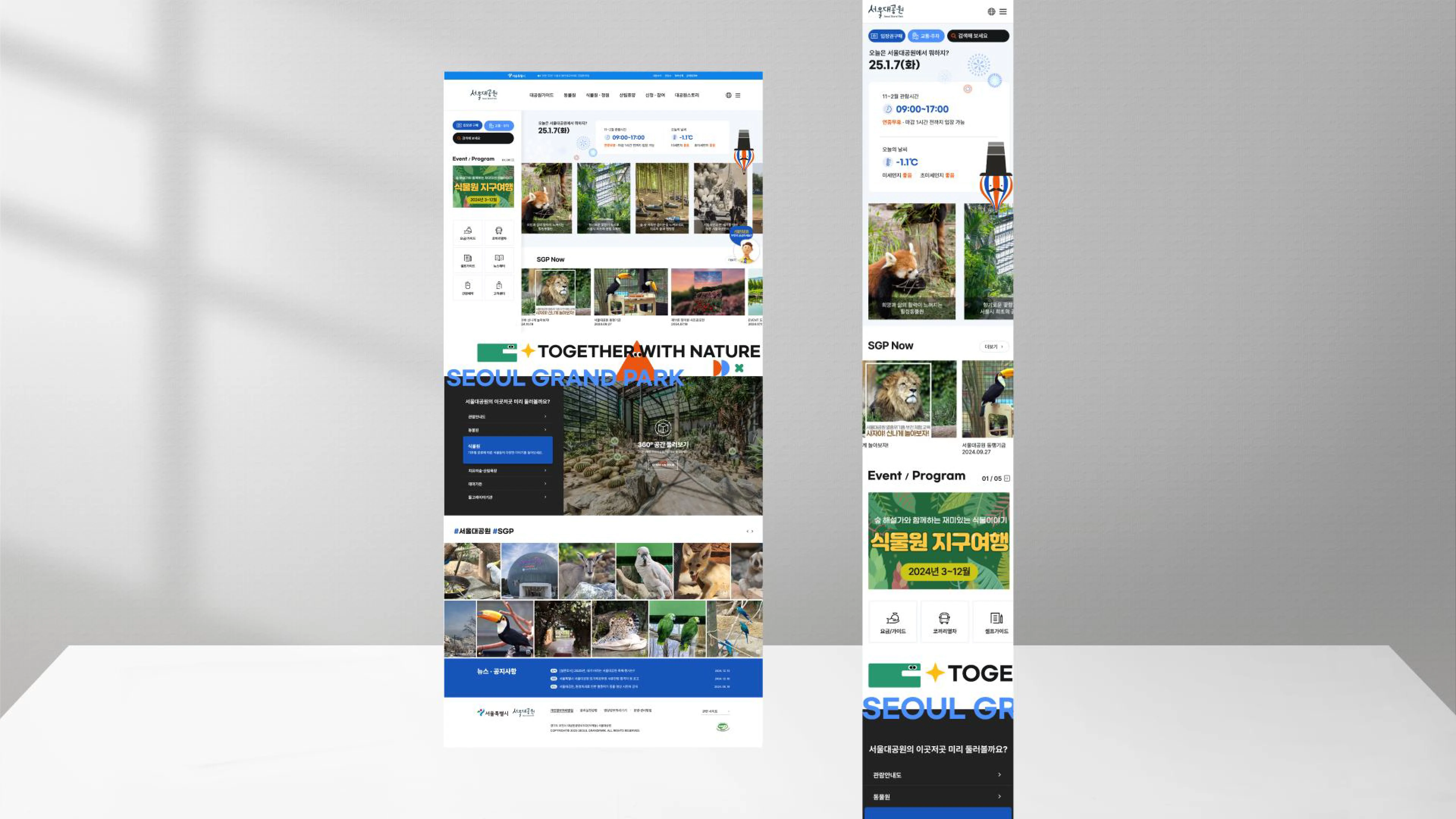 portfolio