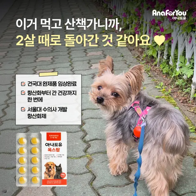 아나포유 옥스탑 이미지 소재 3건