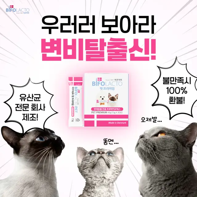 비포락토 펫 이미지 소재 4건