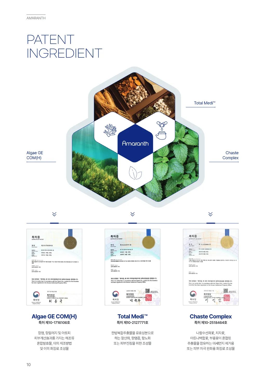 portfolio