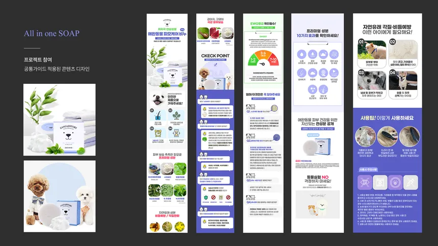portfolio