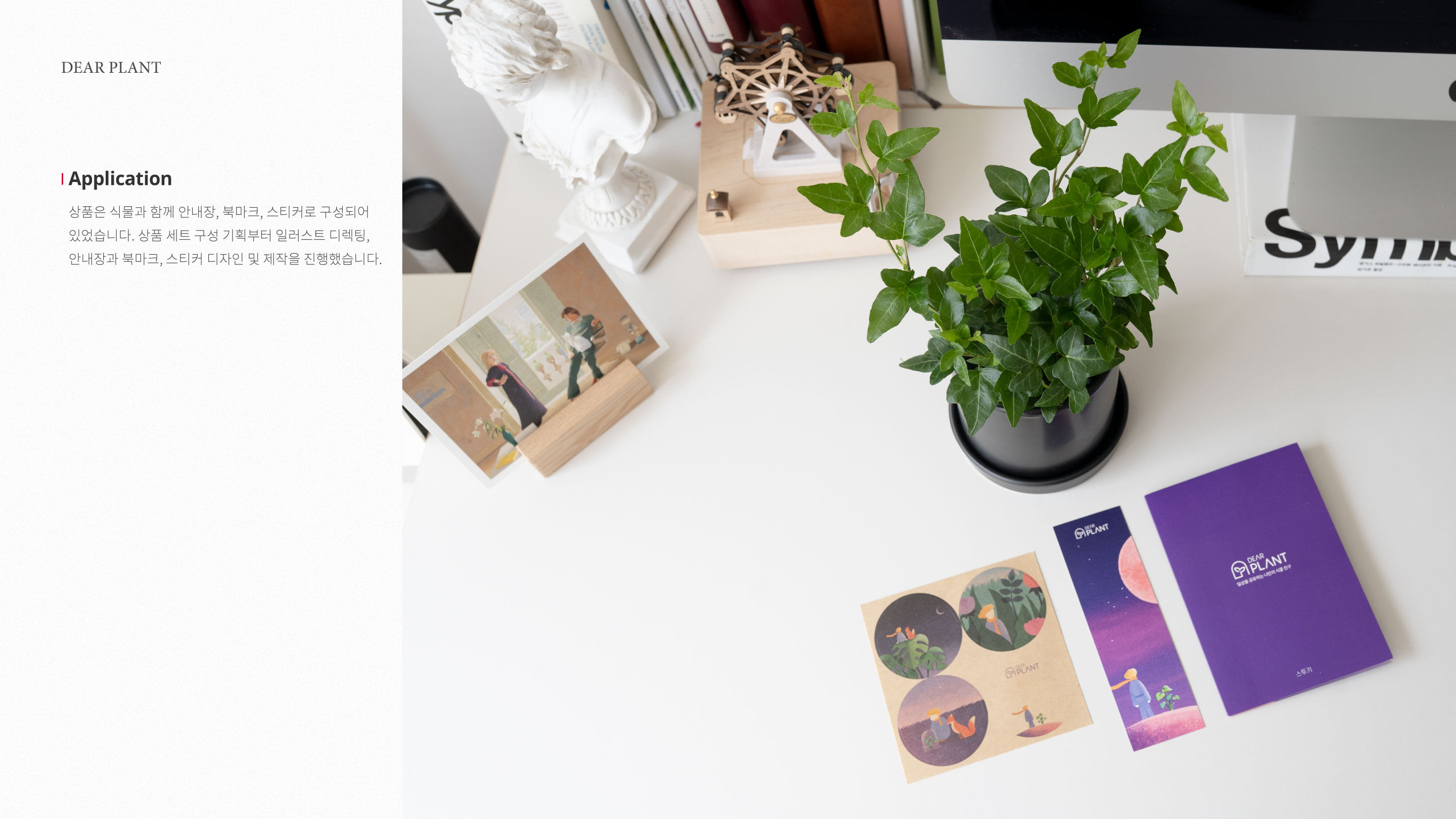 portfolio