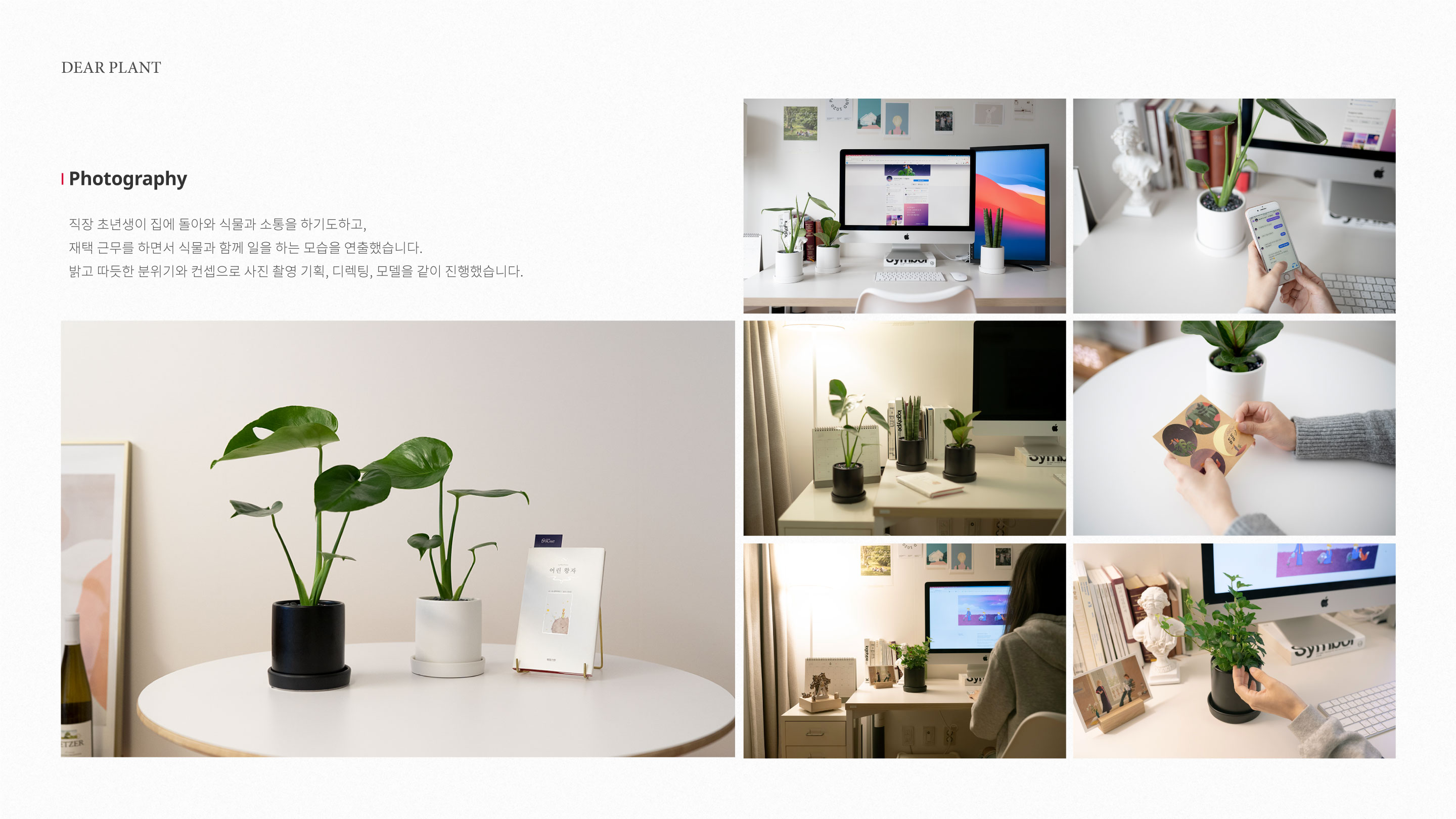 portfolio