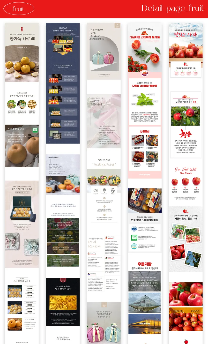 portfolio